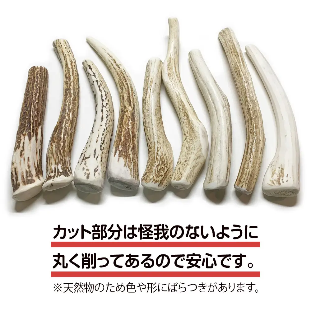 鹿の角 エゾシカ 犬のおもちゃ 『鹿角さん』 中型犬用 割っていないタイプ 1本 CB040