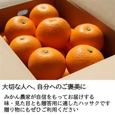 和歌山産　完熟木なりハッサクみかん　贈答用　秀品　約5kg箱入り　M～2Lサイズ【1482412】