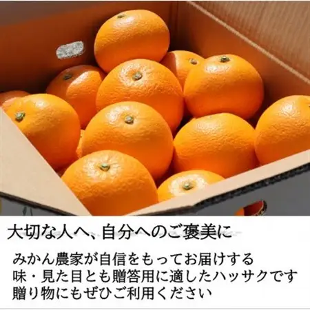 和歌山産　完熟木なりハッサクみかん　贈答用　秀品　約10kg箱入り　M～2Lサイズ【1482413】