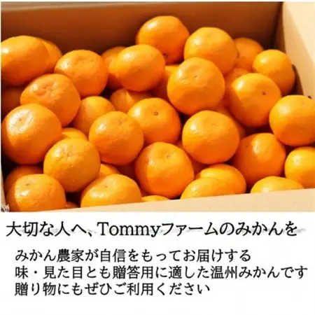 和歌山産　宮川早生　みかん　贈答用　秀品　約5kg箱入り　2S～2Lサイズ【1482417】