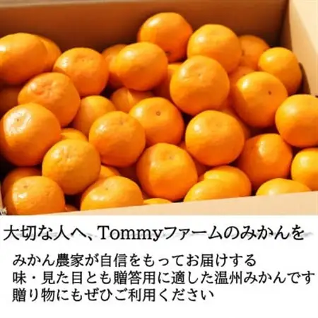 【先行受付】和歌山産　宮川早生　みかん　贈答用　秀品　約10kg箱入り　2S～2Lサイズ【1482418】