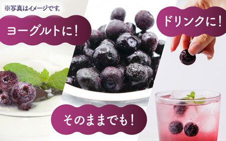 先行予約 【12回定期便】【訳あり】 冷凍ブルーベリー 小粒 約2kg（約500g×4pc） 【すみれファーム】[ZEP056]