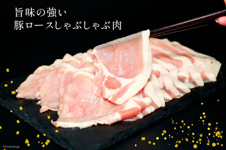 豚肉 ロース しゃぶしゃぶ  計1.5kg 豚肉 [452060719]