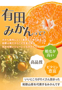 【2026年12月発送予約分】【家庭用】こだわりの有田みかん約4kg＋150g(傷み補償分) ※サイズ混合 ＼光センサー選別 !／ 【農家直送】 有機質肥料100% ※北海道・沖縄・離島配送不可 / みかん ミカン 有田みかん 温州みかん 柑橘 有田 和歌山 産地直送【nuk148-12B】