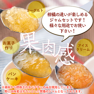 isa556 3種の柑橘ジャム食べ比べセットA(計9個・ボンタン、サワーポメロ、日向夏 各140g) 加工食品 果物 フルーツ 詰め合わせ 果肉 柑橘 低糖 ハンドメイド ジャム ギフト マーマレード【薩摩美食倶楽部】