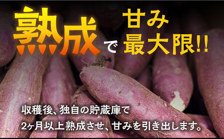 【数量限定】【ねっとり甘い熟成サツマイモ】冷凍焼き芋（紅はるか） 20本(S〜M) / さつまいも やき芋 冷凍 小分け 個包装 冷やし焼き芋 / 南島原市 / 池田海陸物産 [SEW001]