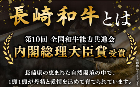 サーロイン ステーキ 計500g[QBD011]牛肉 国産 長崎和牛 サーロインステーキ