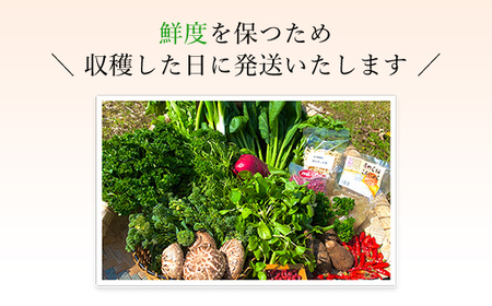 ＜6ヵ月定期便＞鮮度抜群「京野菜」9～12品目詰合せ(毎月×6回) ふるさと納税 福知山市 京野菜 野菜 新鮮 詰合せ 定期便 6か月 【fc-CM008】【ふくこめoffice】