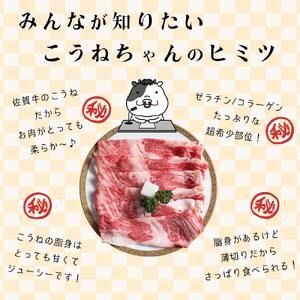 佐賀牛切り落としコウネちゃん600ｇ 161-J787