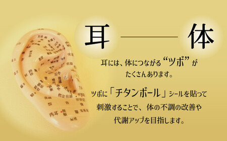 耳つぼ体験 60分 利用券【１名様分】リラクゼーション  健康 マッサージ 癒しプライベートサロン チケット　H178-008