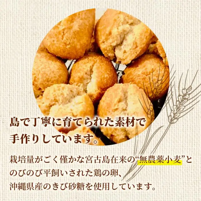 宮古小麦のさたぱんびん（サーターアンダギー）6個入り（HB003）