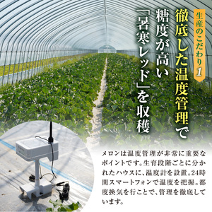 北海道メロン 暑寒レッド 4～5玉 (8kg以上×1箱) 2026年9月発送赤肉  果物 フルーツの王様 春 夏 秋 冬 御中元 フルーツ 生ハム パフェ ケーキ デザート メロン ピューレ めろん さっぱりした甘み お取り寄せ 北海道 雨竜町 送料無料