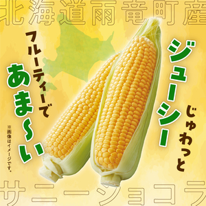 とうもろこし サニーショコラ Lサイズ 10本 とうもろこし とうもろこし 2026年8月発送 北海道産 とうきび トウモロコシ