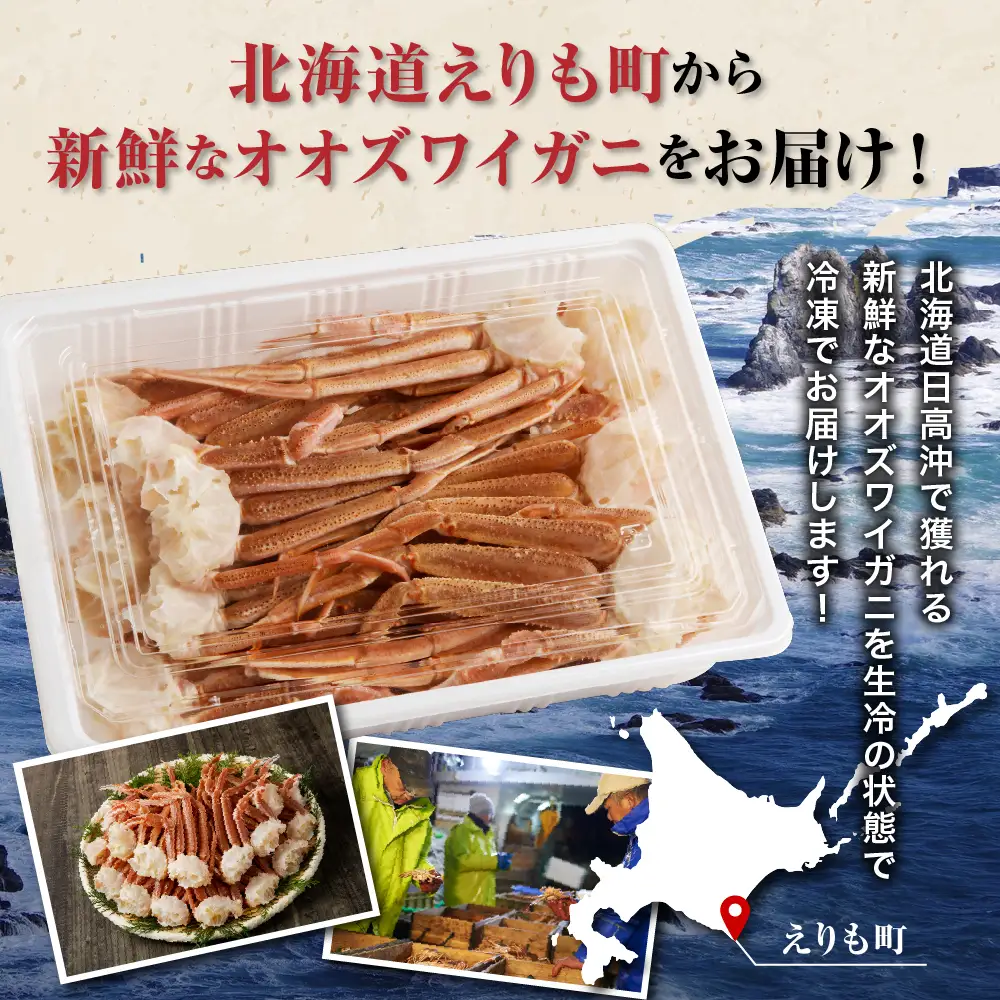 訳あり 生冷オオズワイガニ セクション 1kg