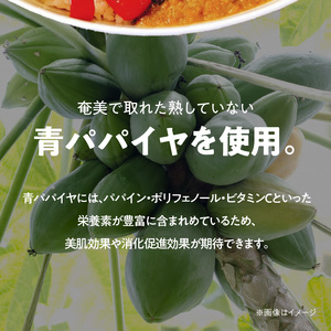 パパイヤ入り奄美カレー 5袋 A003-008 鹿児島 奄美市 奄美大島 レトルトカレー チキンカレー 島ウコン 青パパイヤ入り 島料理 島じゅうりまごころ便パッケージ 湯せん 加熱