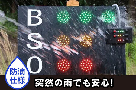 野球 カウントボード 防滴仕様 BSOカウントボード 1枚 [Sayer！ 青森県 おいらせ町 oi02ayo730000]