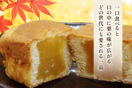 お菓子 びっくりごんた 20個入 [西洋菓子パン工房モンターニュお菓子のやまろく 青森県 おいらせ町 oi02ayo690000]