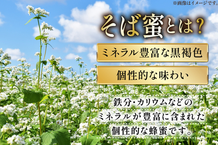 はちみつ 国産 そばハチミツ 500g [東養蜂場 青森県 おいらせ町 oi02ayo660004]