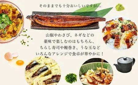 大満足1kg　愛知県三河一色産　うなぎ蒲焼き　（5尾～7尾）・U040-33