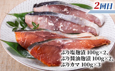 北隆丸 鮭・ブリ・ニシン3種の漬けセット【全3回定期便】【 干物 魚貝類 漬魚 味噌漬け 魚貝類 加工食品 北海道 オホーツク 枝幸 】