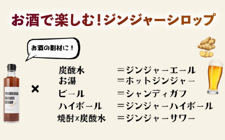 横須賀ジンジャーシロップ 275ml×2本 ジンジャーシロップ  生姜 健康 調味料 ギフト お土産 横須賀【有限会社たのし屋本舗】 [AKAE031]