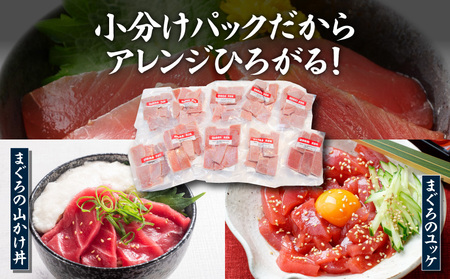 ＜選べる配送月＞【 神奈川県漁連 】 ＜ 小分けパック で 使いやすい ＞切れてる 天然マグロ 100g×10パック  M077-005 冷凍 マグロ