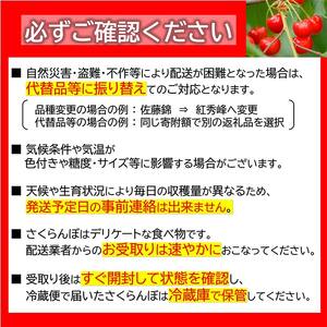 【令和8年産先行予約】 【農林水産大臣賞受賞農家】 さくらんぼ 「やまがた紅王」 15個詰 (秀以上 3L) 《令和8年6月中旬～発送》 『長谷部農園』 山形県 南陽市 [2053]