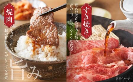 飛騨牛 赤身（スライス・焼肉） 600g（150g×各2パック ） 冷凍真空パック | 肉 焼肉  すき焼き しゃぶしゃぶ 小分け 人気 おすすめ ギフト お取り寄せ【飛騨高山ミート MZ015】