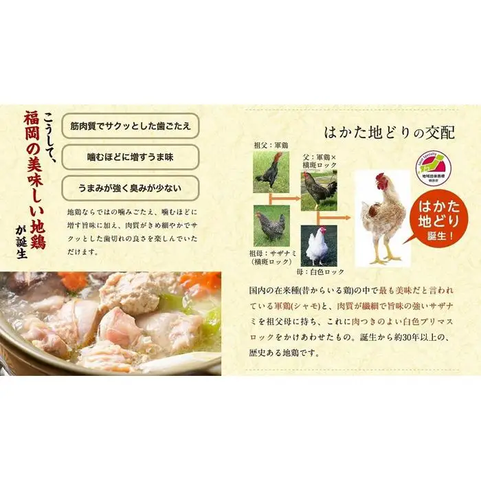 水炊き はかた地どり美人水炊き 5種セット 2～3人前 ラー麦麺付き | 水たき セット ご当地 お取り寄せ グルメ ご当地グルメ お取り寄せグルメ 食品 加工食品 人気 おすすめ 鶏肉 鶏 鍋 お鍋 特産品 九州 博多 送料無料 福岡県 福岡市 福岡 博多 冷凍