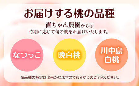 あら川の桃 約2kg(5～8玉) 