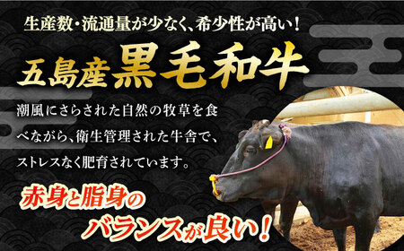 【数量限定】五島列島 五島産 黒毛和牛 すじ煮込み 五島市/心誠 [PCG012]  煮込み料理 おかず 小分け 牛すじ 牛スジ 