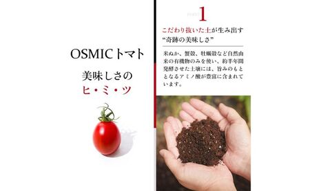 OSMIC FIRST PRINCESS　1箱 【トマト オスミック 千 ブランド 野菜】 国産 付け合わせ サラダ トッピング 糖度11 驚きの甘さ 