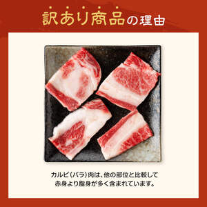 【令和8年6月発送】【訳あり】 宮崎牛 カルビ焼肉＆塩だれ牛タン 計1,000g 肉 牛肉カルビ 牛肉たん 厚切り牛肉 味付き牛肉 BBQ 焼肉 焼くだけ牛肉 牛肉おかず 簡単調理牛肉