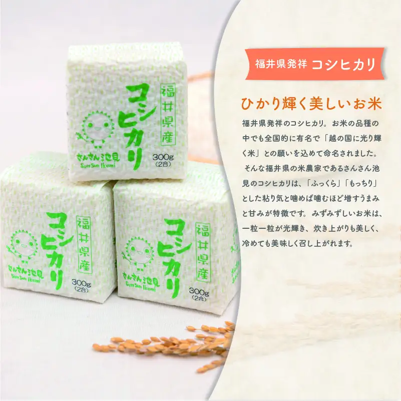 【食べ比べセット】米粉のクッキー缶とこしひかり２合入 × 2個 [A-0234]
