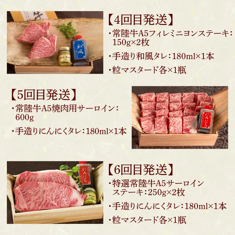 6ヶ月 定期便 肉 常陸牛 Dコース 肉のイイジマ（DU-110）