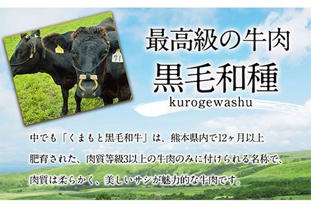 牛肉 くまもと黒毛和牛 すき焼き用 500g 長洲町L（桜屋）《30日以内に出荷予定(土日祝除く)》