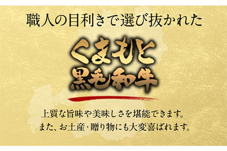 【5ヶ月定期便】牛肉 くまもと黒毛和牛 すき焼き用 500g 長洲町L（桜屋）《お申込み月の翌月から出荷開始》 定期 計5回お届け 熊本県 長洲町 送料無料 黒毛和牛 牛肉 肉 すき焼き