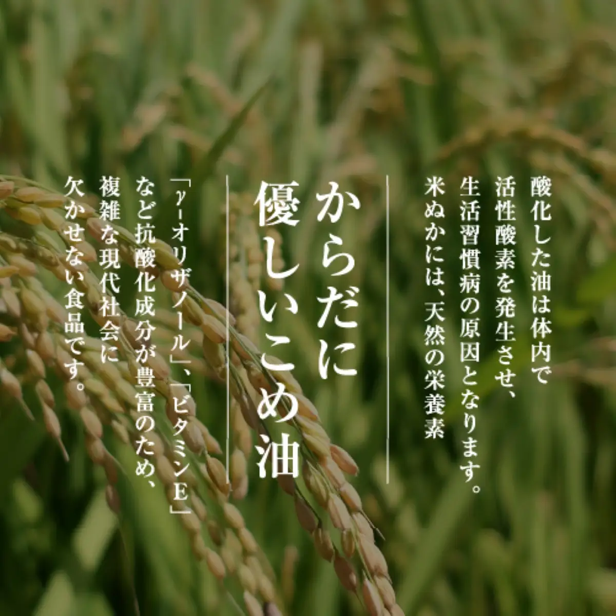 雪こめ油　180g×2本【米油 国産 米 お米 こめ こめあぶら 料理 ドレッシング 植物油 料理油 食用油 ビタミンE 米ぬか 体にやさしい ヘルシー 揚げ物 オイル】
