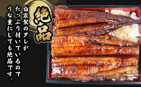 うなぎ蒲焼き170g~180g×3尾河野鮮魚店(蒲焼たれ3袋付)【D038-177004】