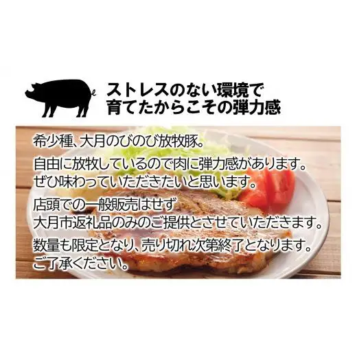 【希少豚】大月のびのび放牧豚【カツ・ステーキ用ロース】750g 以上(約150g×5)【1087-009】