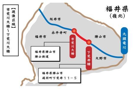 【ふるさと納税】【2026年分】九頭竜川（勝山市漁協）鮎友釣り年券 1名様分　魚 魚介 鮎 アユ 釣り 体験 チケット※2026年6月27日解禁日！ [D-001004]