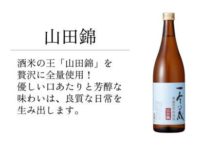 勝ち山日和セットA（一本義 辛口純米酒 720ml×1本 ＆ 一本義 山田錦 720ml×1本） [A-008059]
