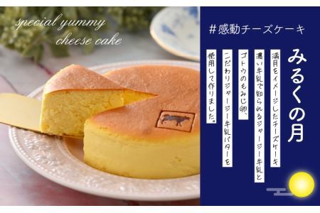 ジャージー牛乳の濃厚な味わい!ラブリー牧場チーズケーキ2種セット [A-014001]