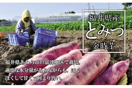 冷やし焼き芋 3本入り [A-037014]