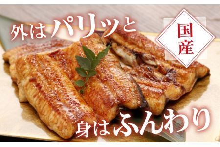 血抜きうなぎの蒲焼（無頭）焼成後250g前後×2尾  国産 [B-044001]