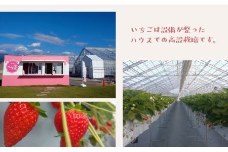 自家製カップいちごアイス 12個 [A-045001]