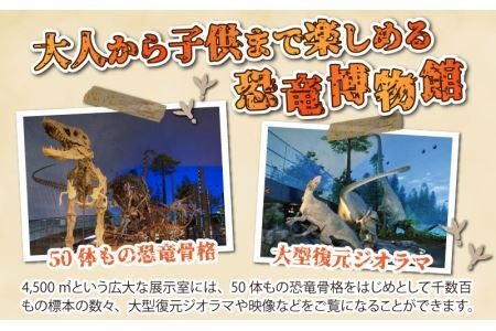 福井県立恐竜博物館 常設展観覧券 (小・中学生 3名様) [A-048012]