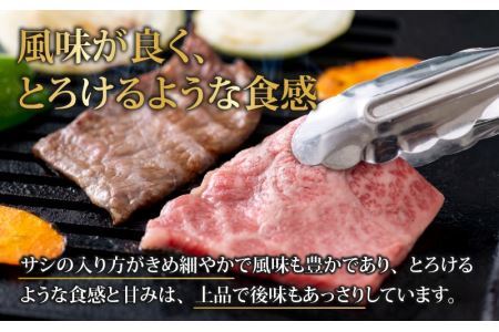 【福井のブランド牛肉】若狭牛 焼肉食べ比べセット 1kg（上カルビ500g×1パック、モモ500g×1パック） [E-058002]