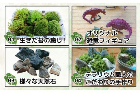 恐竜＋苔＋天然石が作り出す、癒やしの自然空間！ ジュラリウム Mサイズ [A-070002]