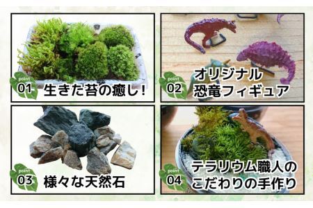 恐竜＋苔＋天然石が作り出す、癒やしの自然空間！ ジュラリウム Sサイズ [A-070001]